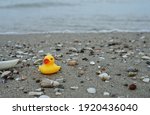 Yellow Rubber Duck On The Beach ...