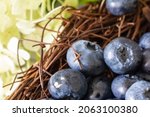 ripe blueberries. blueberries... | Shutterstock . vector #2063100380