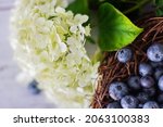 ripe blueberries. blueberries... | Shutterstock . vector #2063100383