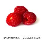 berries tibetan raspberry  rbus ... | Shutterstock . vector #2066864126