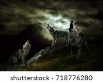 A Pack Of Wolves On A Dark Night
