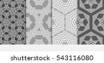 set of floral geometric... | Shutterstock .eps vector #543116080