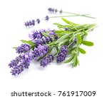 Bunch of Lavender flowers on a white background.