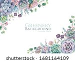 greenery  succulent and... | Shutterstock .eps vector #1681164109