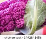 Small photo of Close up view of organic purple cauliflower from farmer's market, Brassica oleracea var. botrytis, belonging to the plant order Capparales, gets color from antitoxin anthocyanin