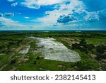 Drone photo of rice fields in the floodplain of the Shari River, the border of Cameroon and Chad during the rainy season, when the Sahel is abundantly watered for a short time