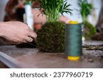 Small photo of In this image, the process of creating a Kokedama is captured at the precise moment when moss is carefully and precisely wrapped around the root ball using string.