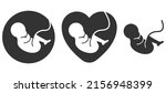 Fetus Icon. Prenatal Human...
