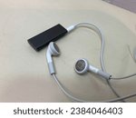 Small photo of Apple iPod with white headphones