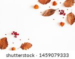 Autumn composition. Dried leaves, flowers, rowan berries on white background. Autumn, fall, thanksgiving day concept. Flat lay, top view, copy space