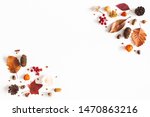 Autumn composition. Dried leaves, flowers, berries on white background. Autumn, fall, thanksgiving day concept. Flat lay, top view, copy space
