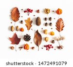 Autumn composition. Pattern made of dried leaves, flowers, berries on white background. Autumn, fall, thanksgiving day concept. Flat lay, top view