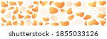 abstract liquid shape. set of... | Shutterstock .eps vector #1855033126