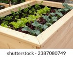 Small photo of vegetable garden visuals. From the rich hues of leafy greens to the vibrant spectrum of ripening vegetables, these images showcase the beauty and diversity of a thriving vegetable garden.