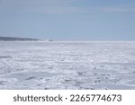 Small photo of Haliaeetus albicilla flying over Drift ice in the offing of the Abashiri port, Hokkaido, Japan