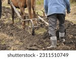 Small photo of the plow plows the ground. Peasants plow the land with a plow and a horse
