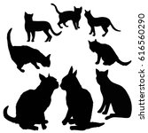 cat silhouette   vector ... | Shutterstock .eps vector #616560290