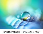 Transparent turquoise drop of pure water on feather, blurred blue background, macro. Elegant expressive artistic image fragility of nature. Copy space. Concept of sensitivity responsiveness to nature.