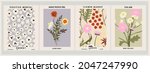 botanical poster set flowers... | Shutterstock .eps vector #2047247990