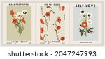 botanical poster set flowers... | Shutterstock .eps vector #2047247993