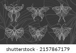 art nouveau style butterfly... | Shutterstock .eps vector #2157867179