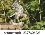 Small photo of Girimulyo, Indonesia - Desember 07th 2023 - A statue looks like an eagle ready to swoop down on its prey. The statue is made of clay as a decoration on the roof of a house in the countryside.