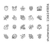 Forest Berries Flat Line Icons  ...