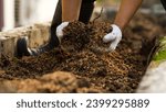 Small photo of One Person Working on Organic Gardening, Focusing on the Soil with Their Hands A person's hand working the soil in a garden.