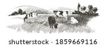 vector cows on the field.... | Shutterstock .eps vector #1859669116
