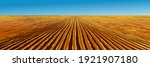 vector farm field landscape.... | Shutterstock .eps vector #1921907180
