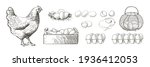 set of chicken eggs in the... | Shutterstock .eps vector #1936412053