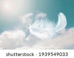Beautiful Soft and Light White Fluffy Feathers Floating inThe Sky with Clouds. Abstract. Heavenly Dreamy Fluffy Colorful Sky. Swan Feather