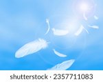 Small photo of Abstract White Bird Feathers Floating on A Blue Sky. Freedom Flying Feathers. Feathers Floating Concept in Heavenly.