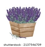 Watercolor Lavender Bouquet In...