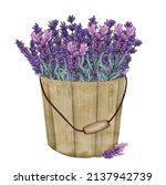 Watercolor Lavender Bouquet In...