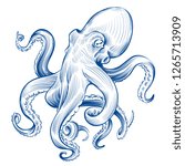 Vintage Octopus. Hand Drawn...