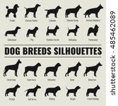 Dog Breeds Vector Silhouettes...