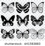 butterfly silhouettes macro... | Shutterstock . vector #641583883