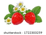 Strawberry With Flower Isolated ...