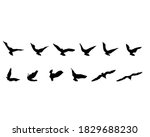 flock of birds in flight.... | Shutterstock .eps vector #1829688230