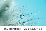 Small photo of Macro nature. Beautiful dew drops on dandelion seed macro. Beautiful soft background. Water drops on parachutes dandelion. Copy space. soft focus on water droplets. circular shape, abstract background