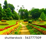 Royal Botanical garden Peradeniya. Sri Lanka