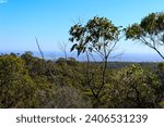 Small photo of Aerial view from Mount Lofty