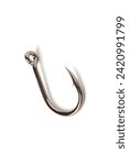 In this photo of a fishing hook ...