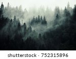 Misty Landscape With Fir Forest ...