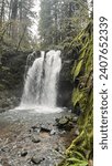 Small photo of Beautiful Oregonian waterfall cascading down
