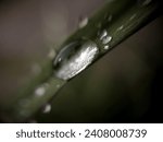 Small photo of Macro Fotografia Gota de Agua