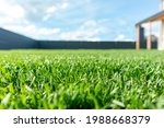 Close up of green lawn on a...
