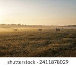 Hay bales in a field in the...