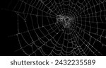 Realistic spider's web black...